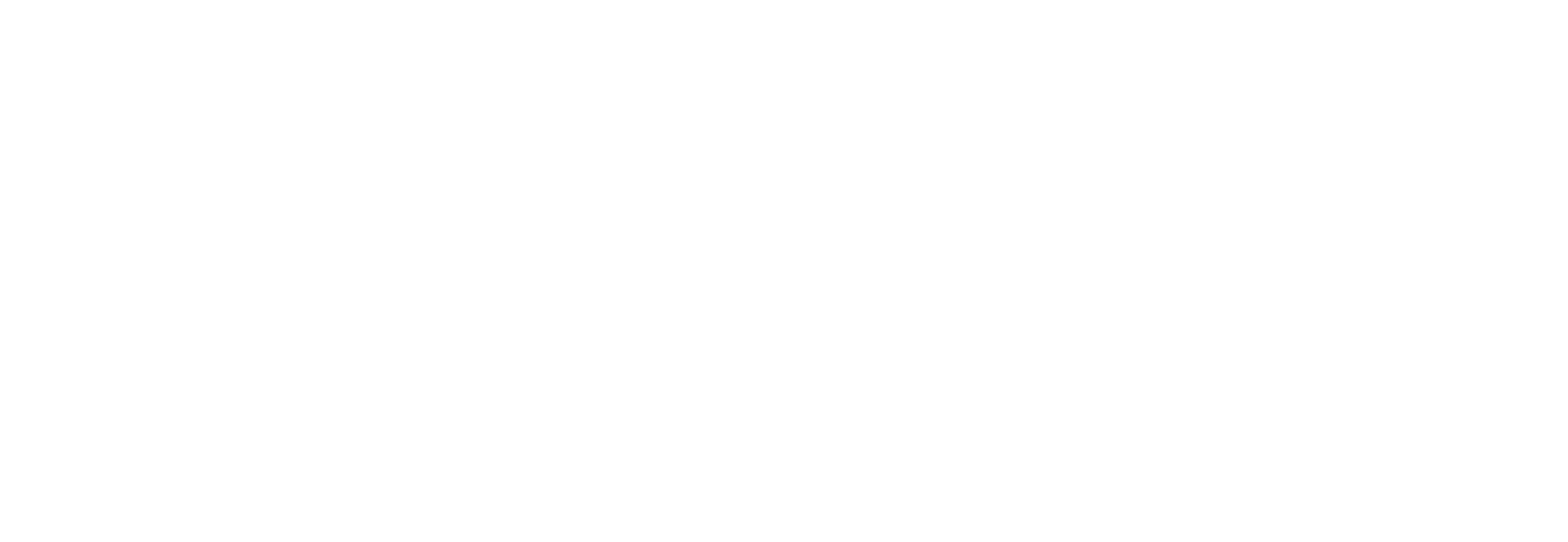 Bonk logo bianco